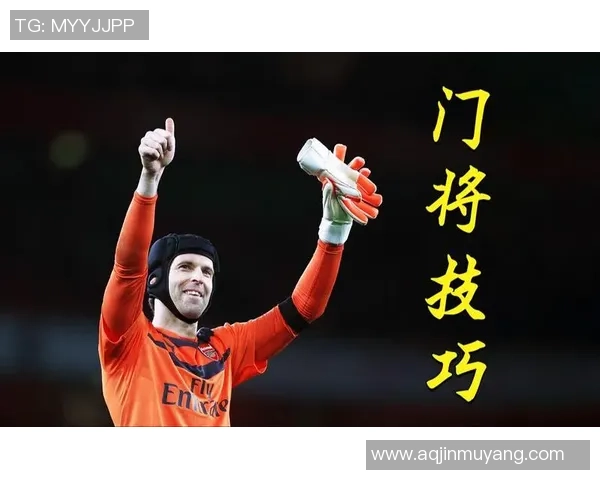 顶尖足球训练秘籍揭秘助你成为球场上的明星球员